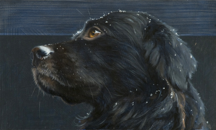 <p>Verkocht, hondenportret in opdracht, 15x26 cm</p>